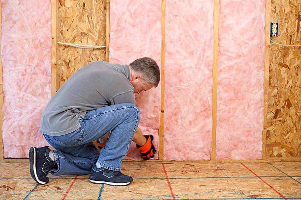 Types of Insulation We Offer in Buckeye, AZ